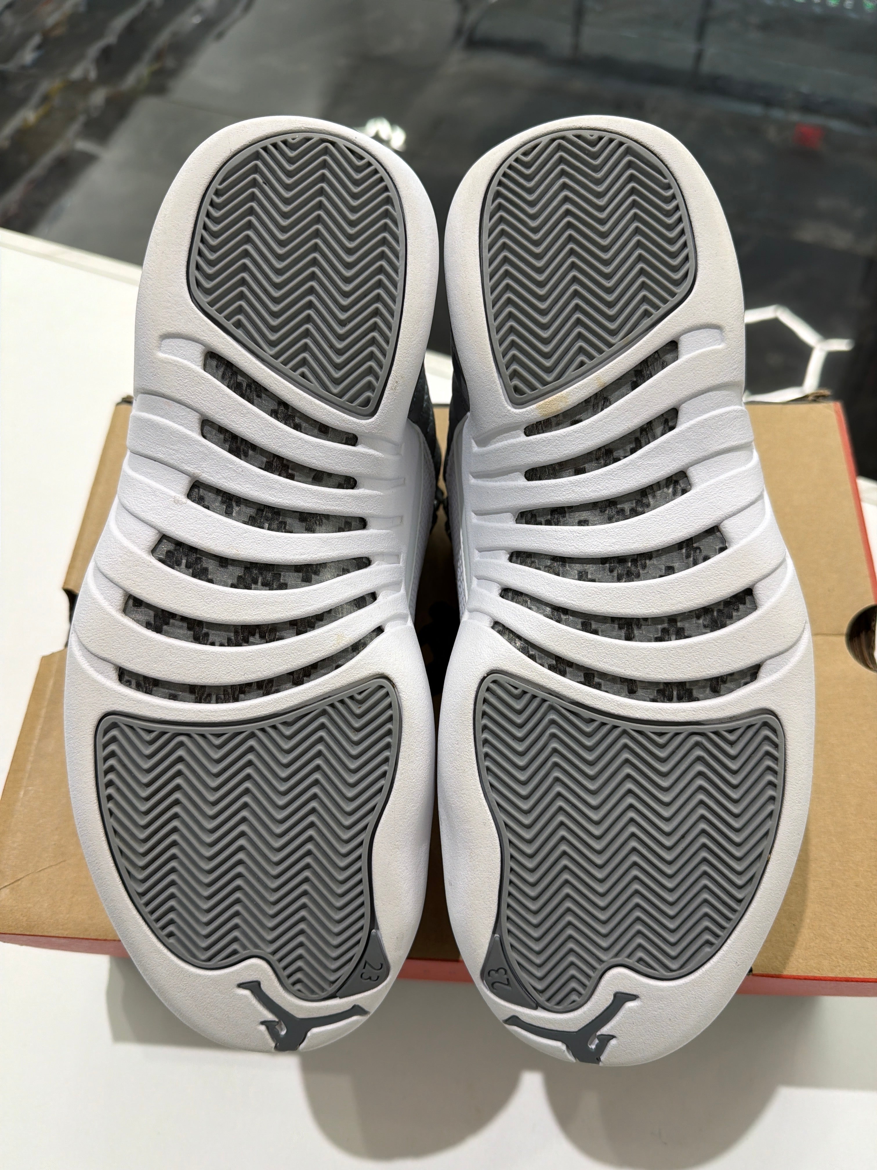 Jordan 12 stealth