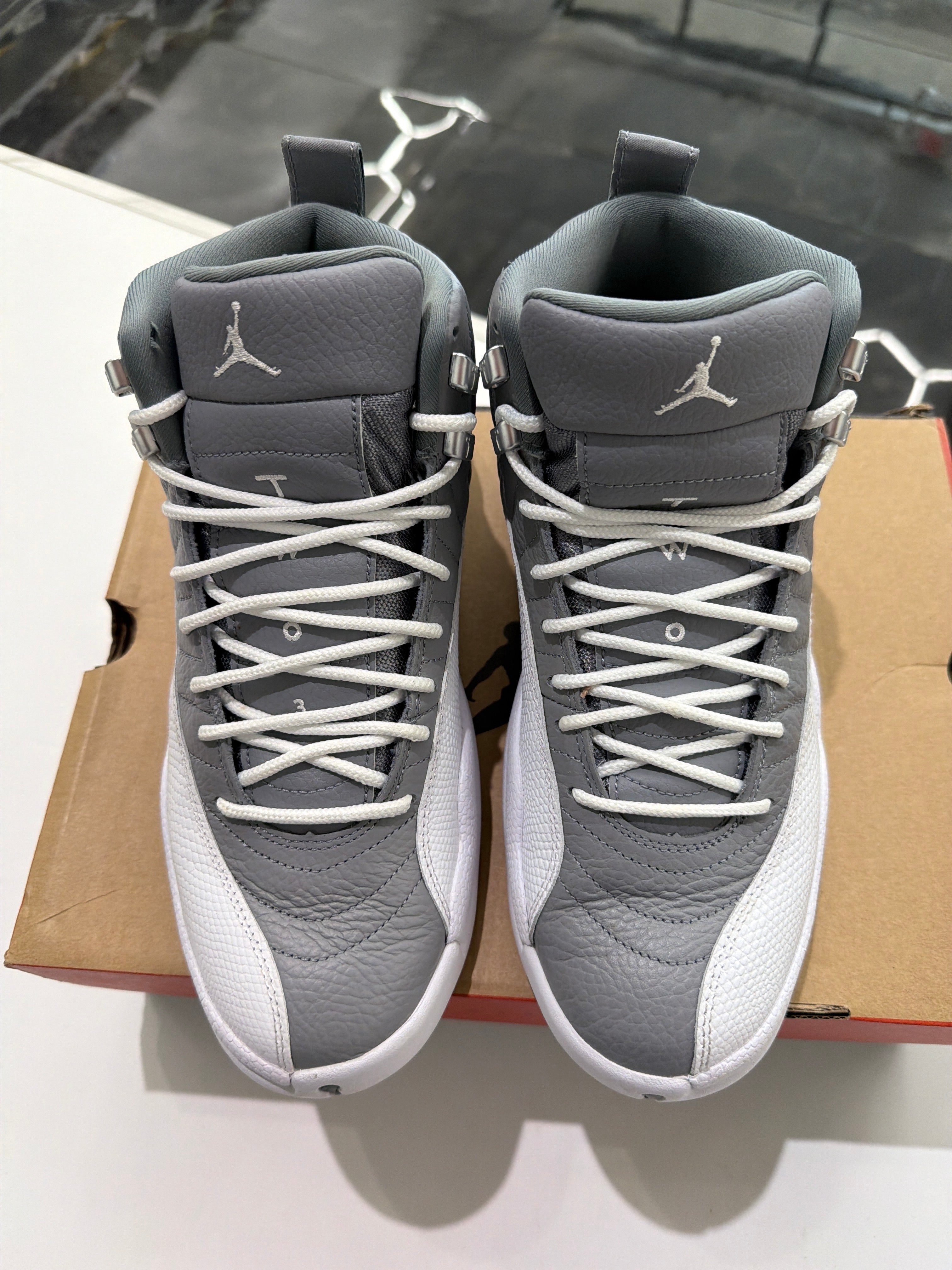Jordan 12 stealth