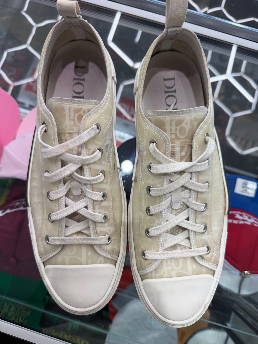 Dior B23 Low Top Oblique