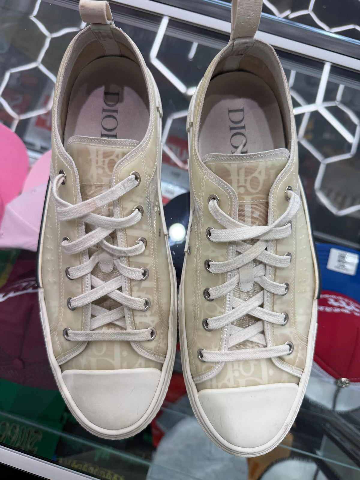 Dior B23 Low Top Oblique