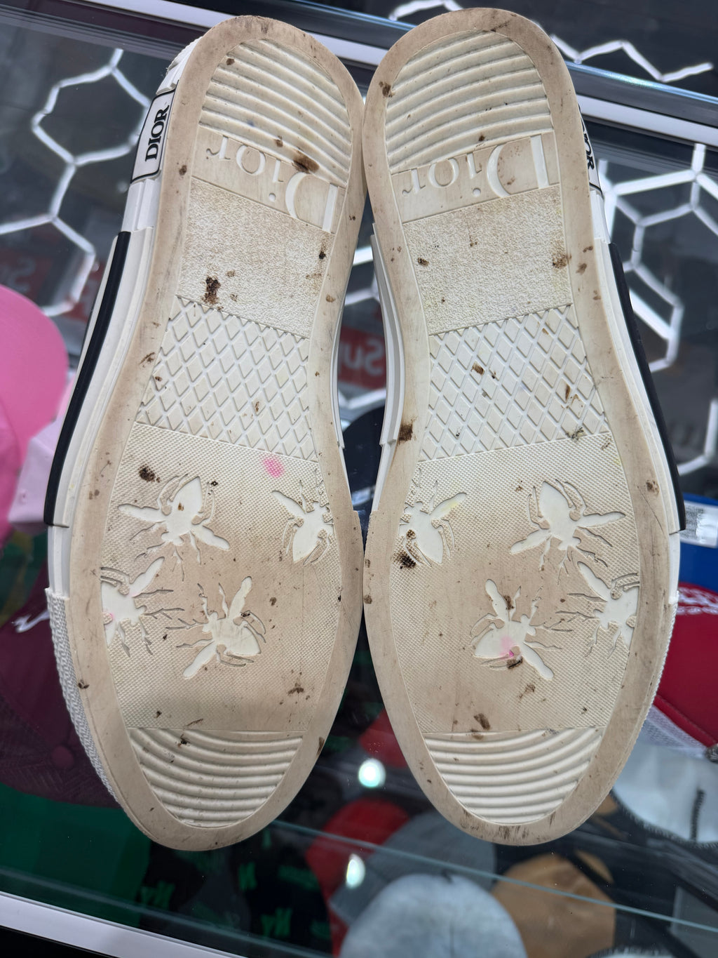 Dior B23 Low Top Oblique