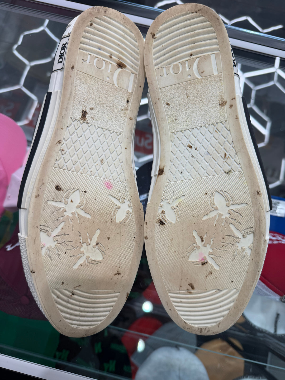 Dior B23 Low Top Oblique