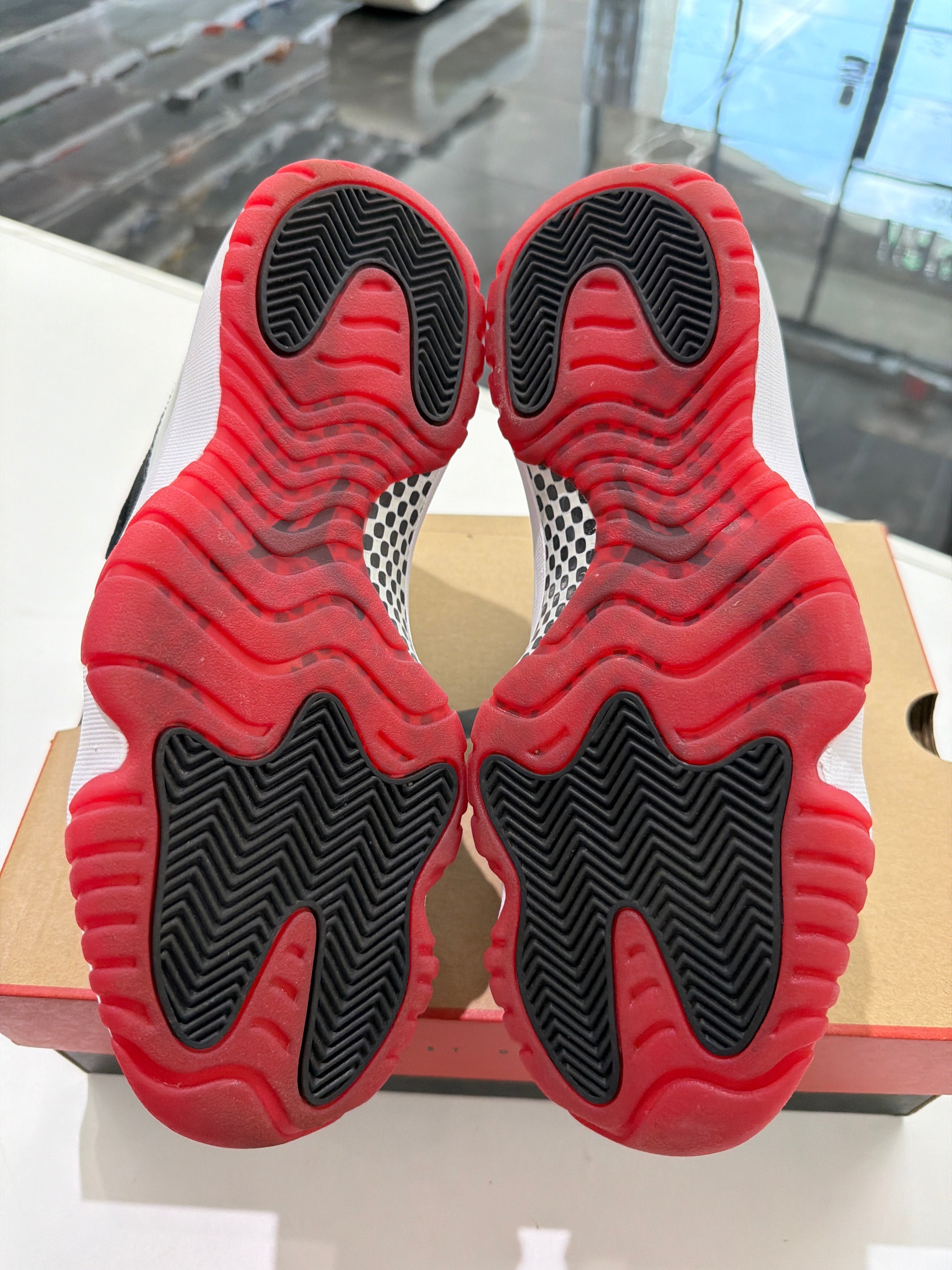 Jordan 11 playoff bred