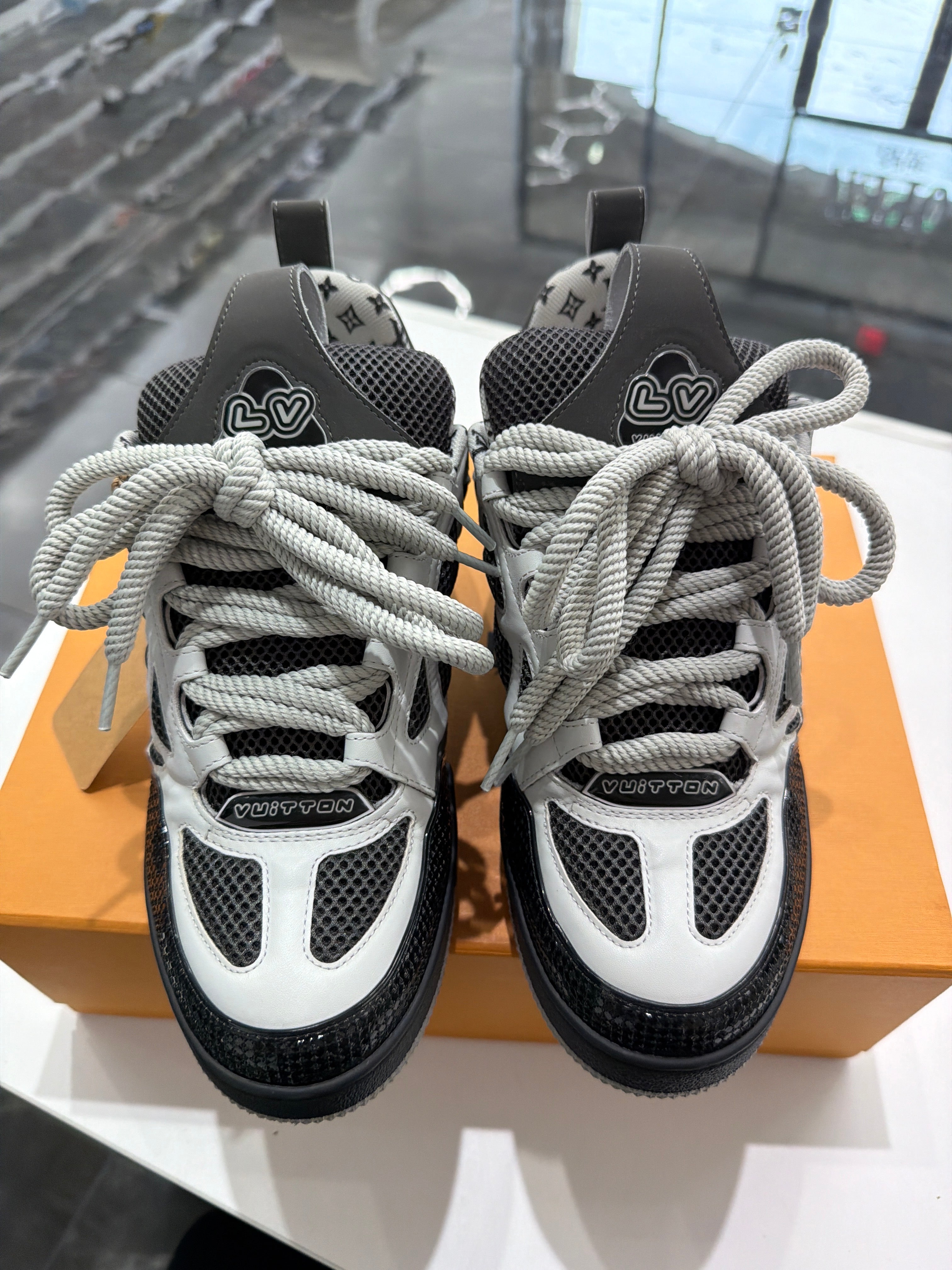 Louis Vuitton LV Skate