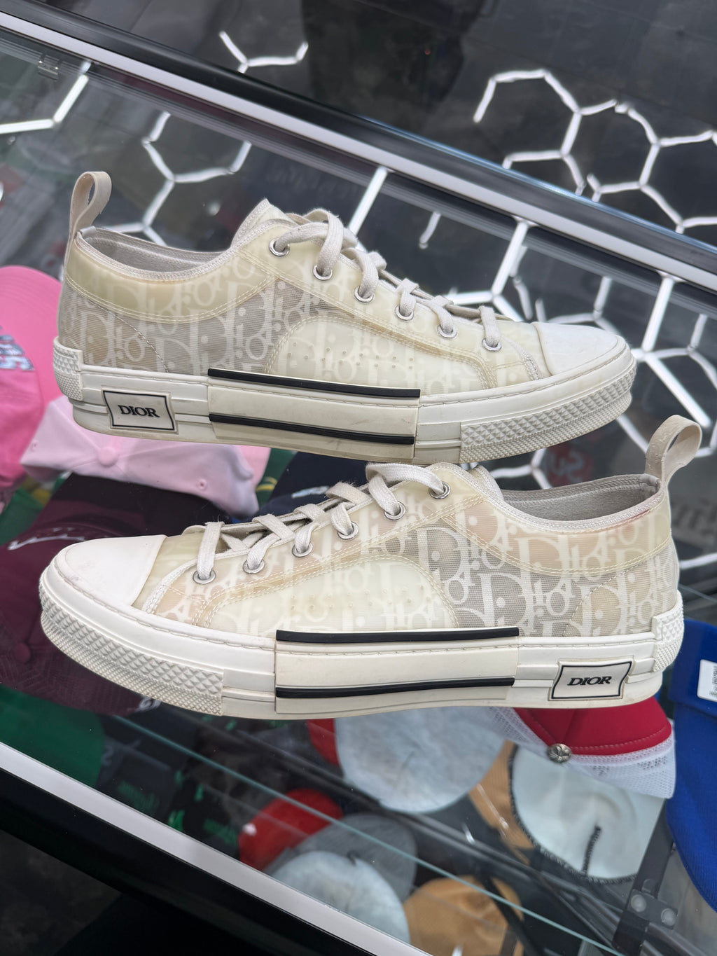 Dior B23 Low Top Oblique