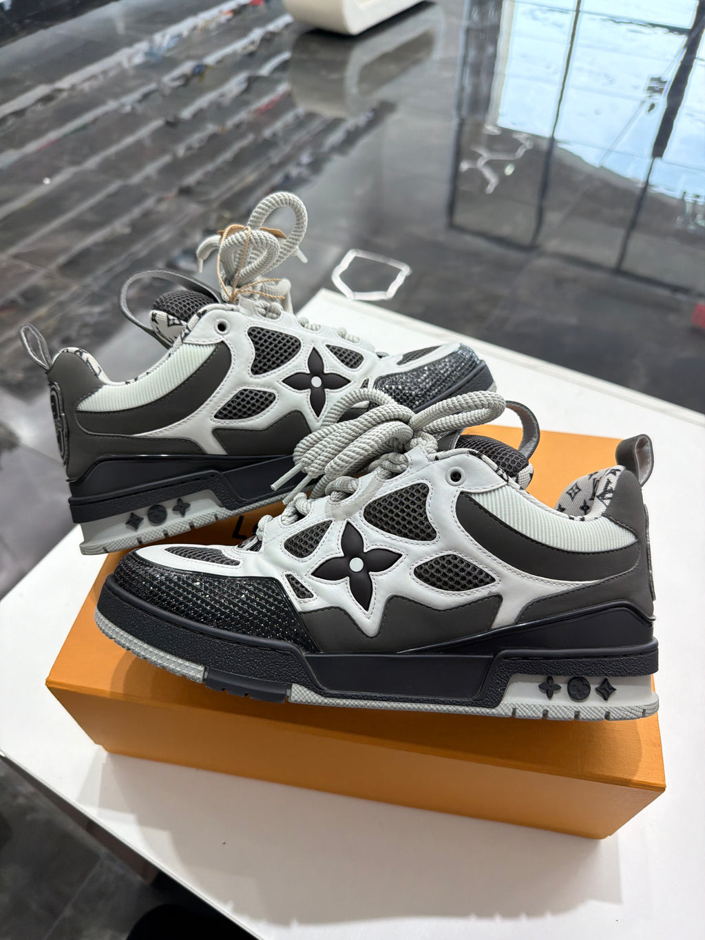 Louis Vuitton LV Skate