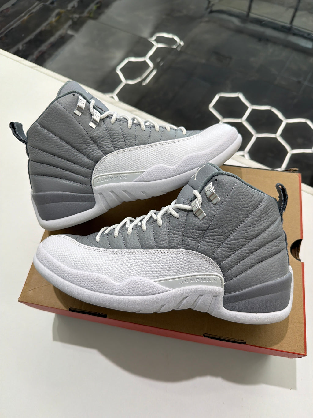 Jordan 12 stealth