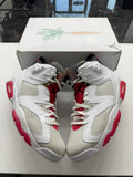 Jordan 6 Retro Hare